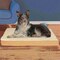 Pet Adobe Pet Adobe Memory Orthopedic Foam Dog Bed- Sherpa Top and Removable Cover- 36x27x4, Tan 536719BXJ - alternate 5